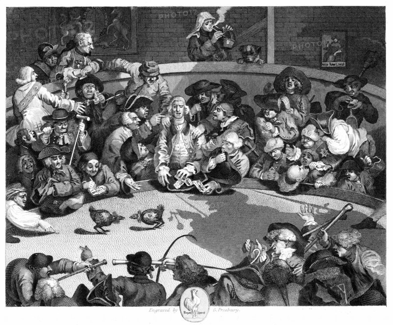 The Cock Pit