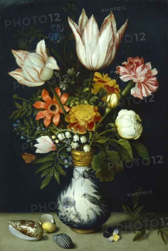 Ambroise BOSSCHAERT