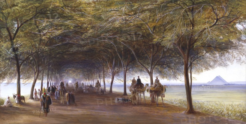 Edward LEAR