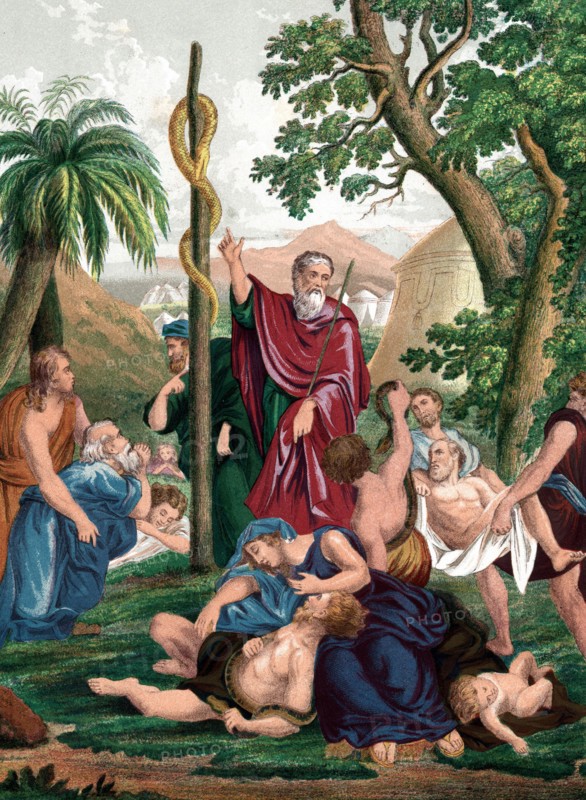 Moses instructs them to look on brazen serpent