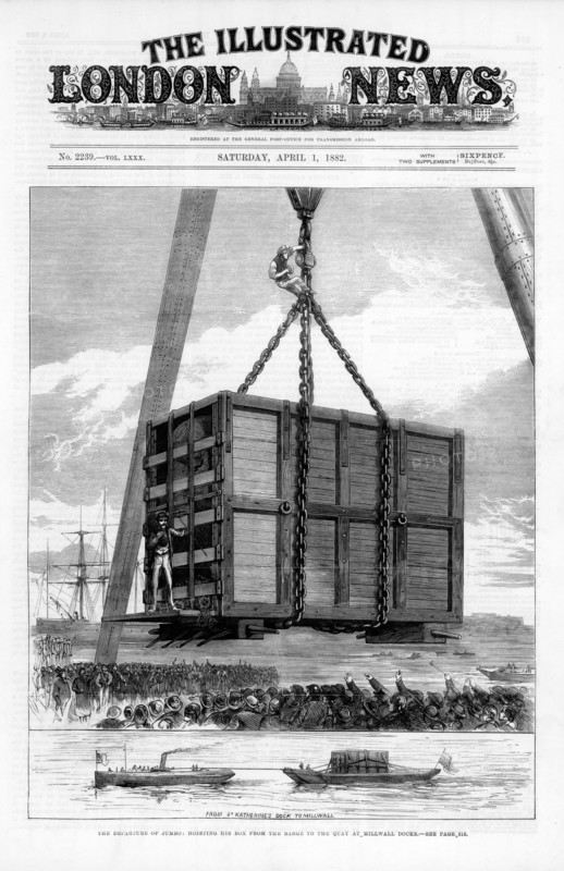 Jumbo the large African elephant sold by London Zoo in 1882