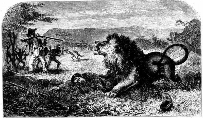 David Livingstone