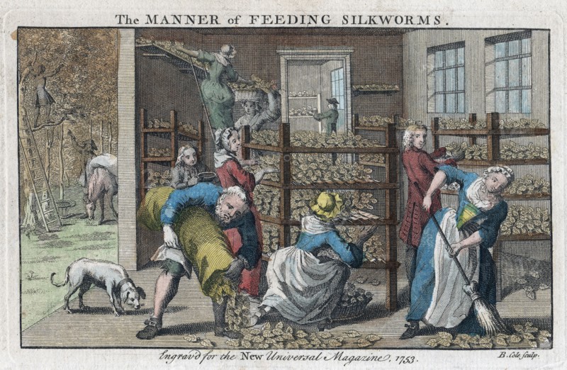 Silkworm farm