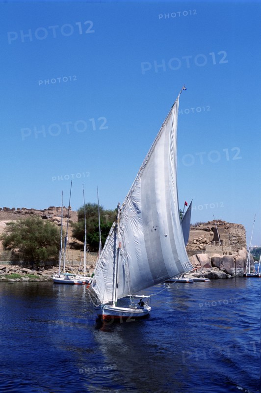 Feluccas on the Nile, Elephantine Island near Aswan