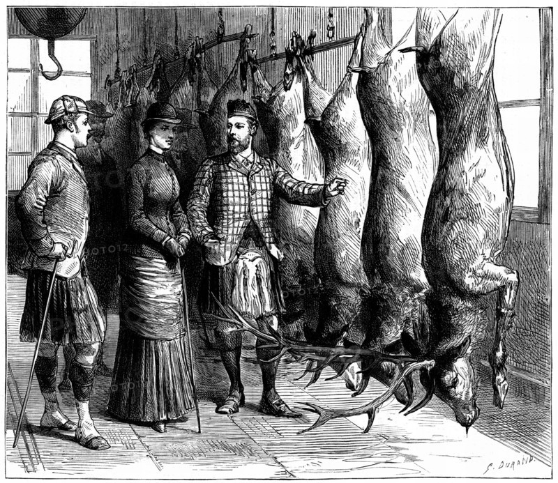 Duke of Fife's game larder, 1881