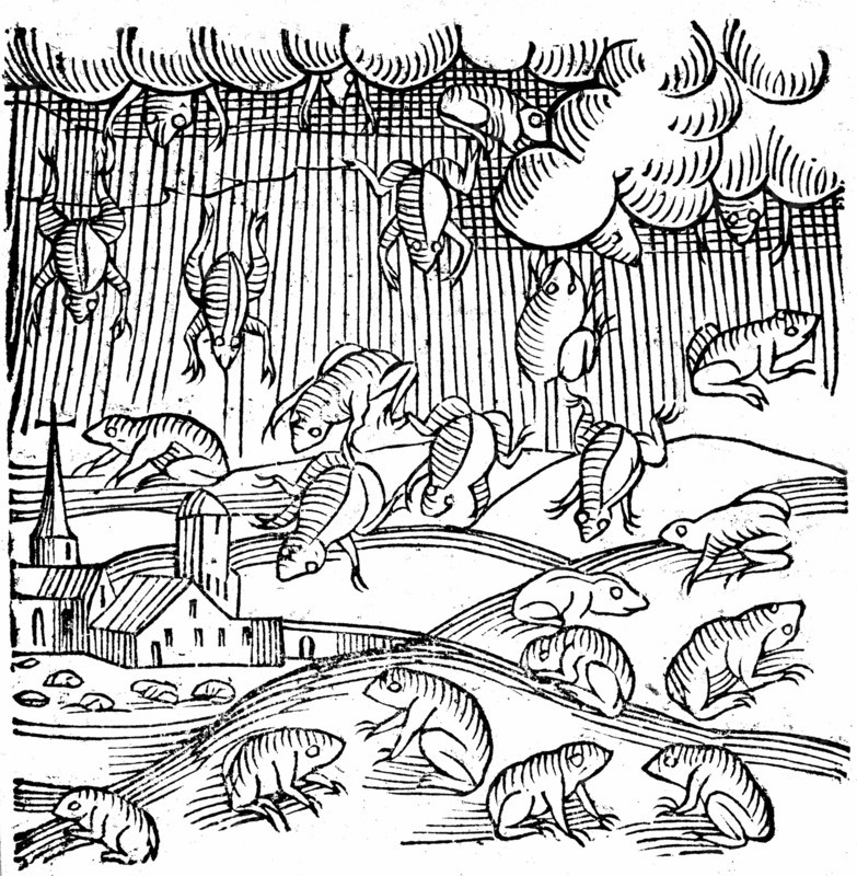 Rain of frogs recorded in 1355