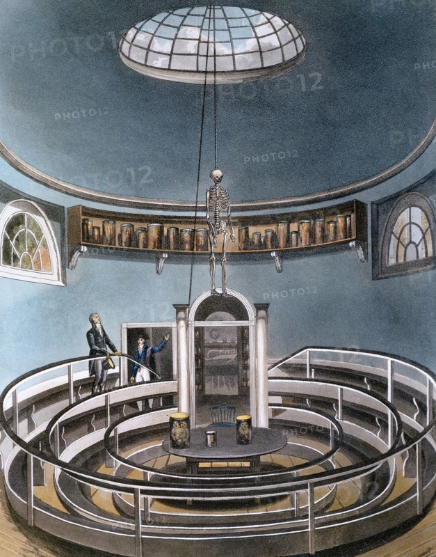 Theatre of Anatomy'  From Ackermann