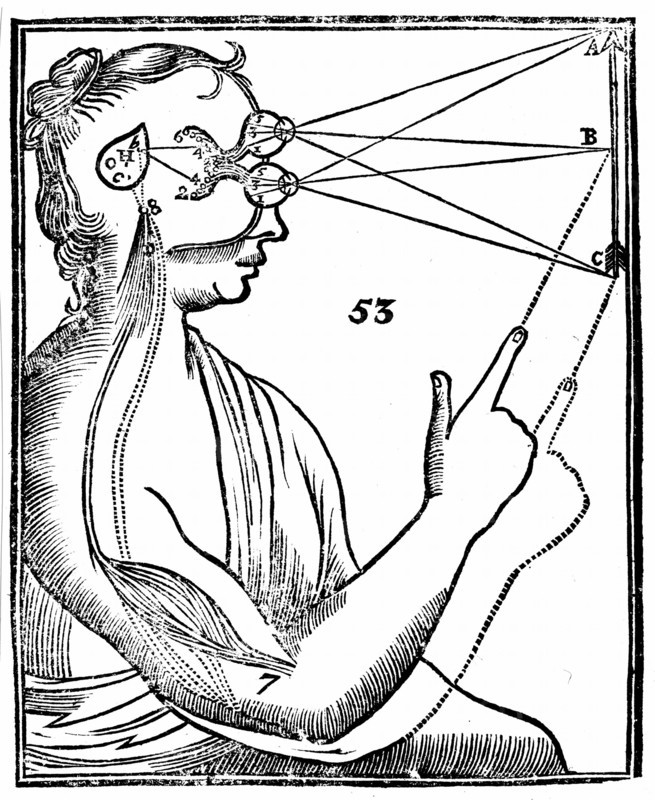 Descartes' idea of vision