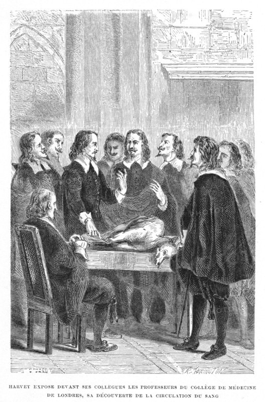 Harvey demonstrating circulation of the blood to the College of Physicians