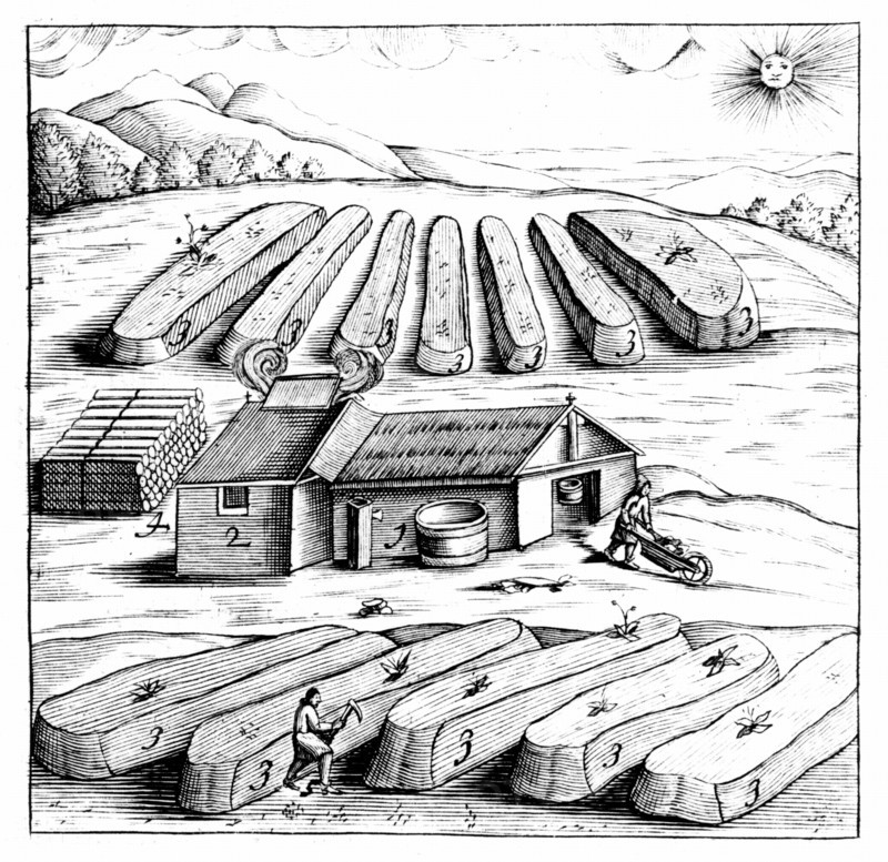Production of Salpetre