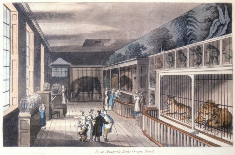 'Royal Menagerie