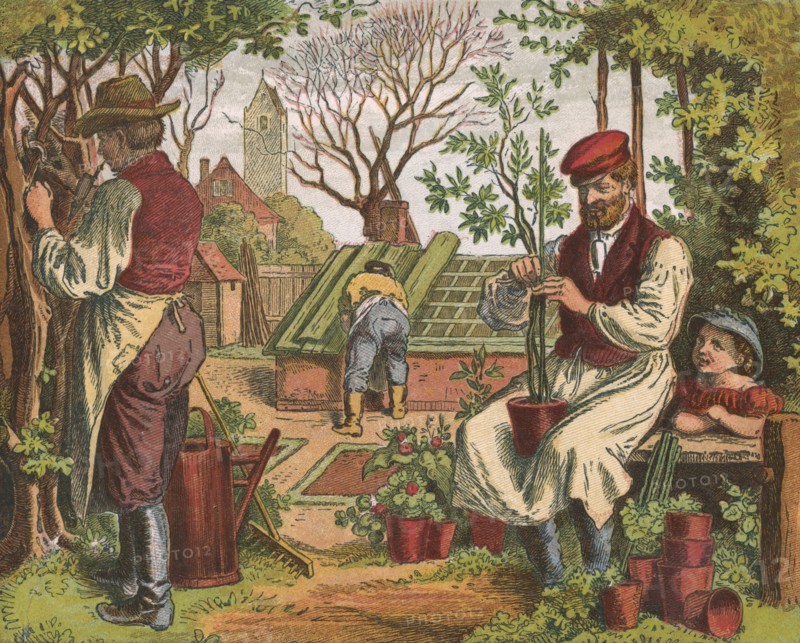 Horticulture