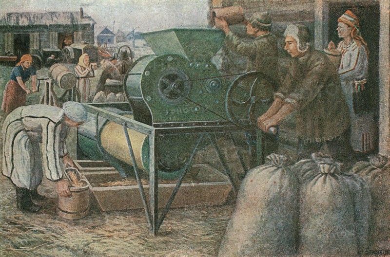 The Fight for the Harvest: Sorting of Seeds in a Mordva Collective Farm