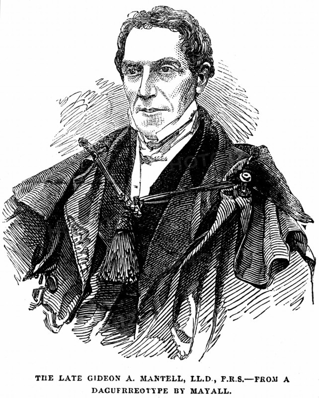MANTELL, Gideon Algernon