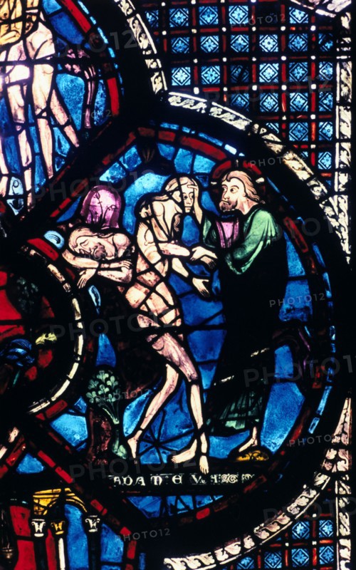 Stain glass window from the cathedral of Chartres