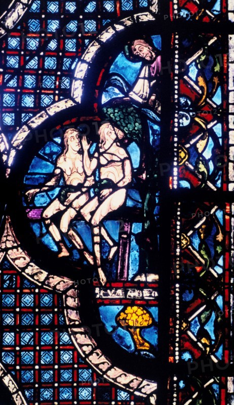 Stain glass window from the cathedral of Chartres