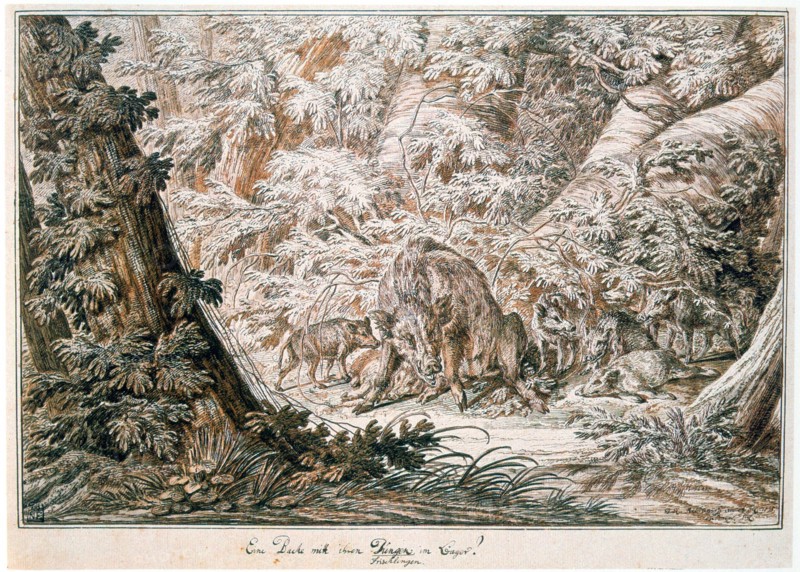 Johann Elias Ridinger 1698-1767 Untitled