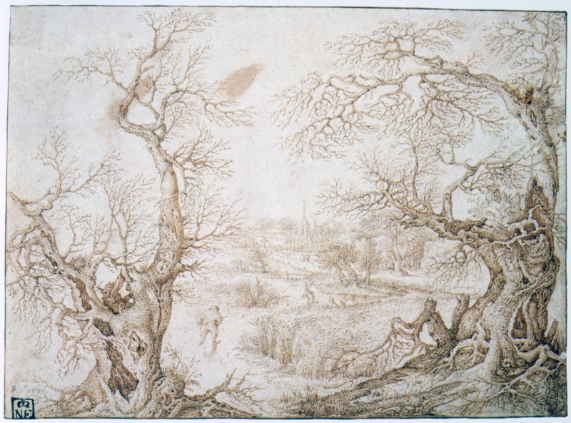Winter Landscape'