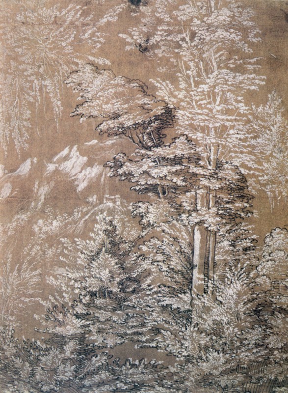 Tree Study'