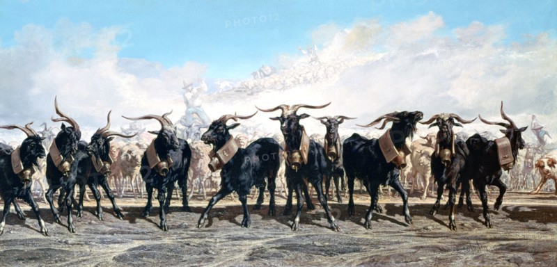 Let us take out the herd'