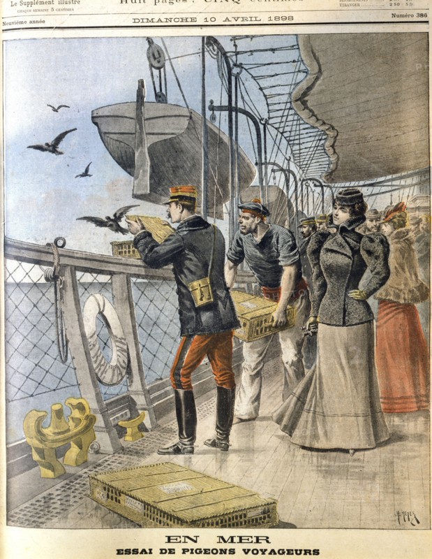 Releasing French army homing pigeons
