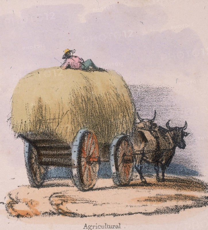 Haycart