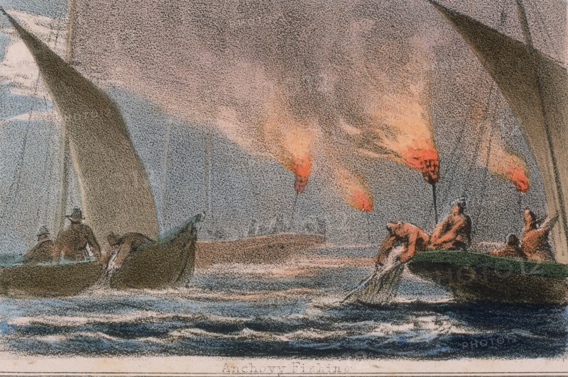 Fishing for anchovies at night using flares
