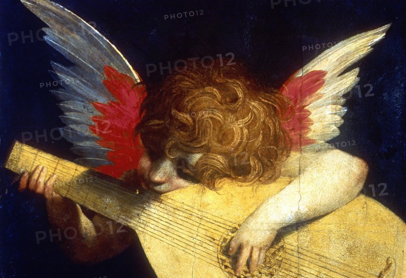 ROSSO, Winged putto playing a lute
