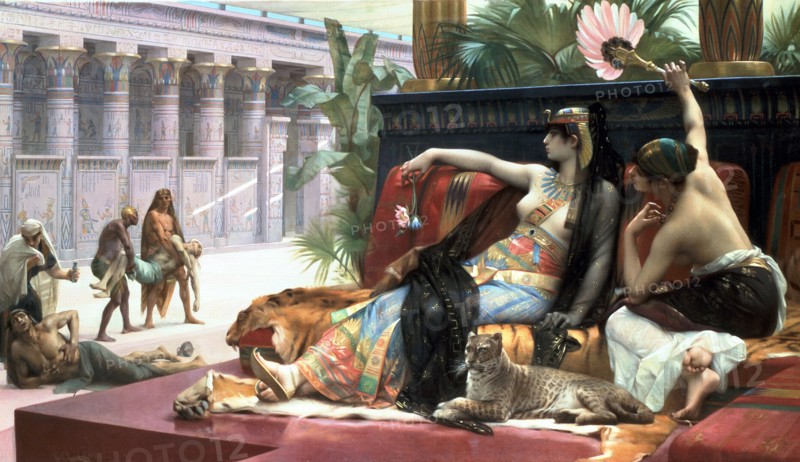 'Cleopatra testing poisons on those condemned to death'