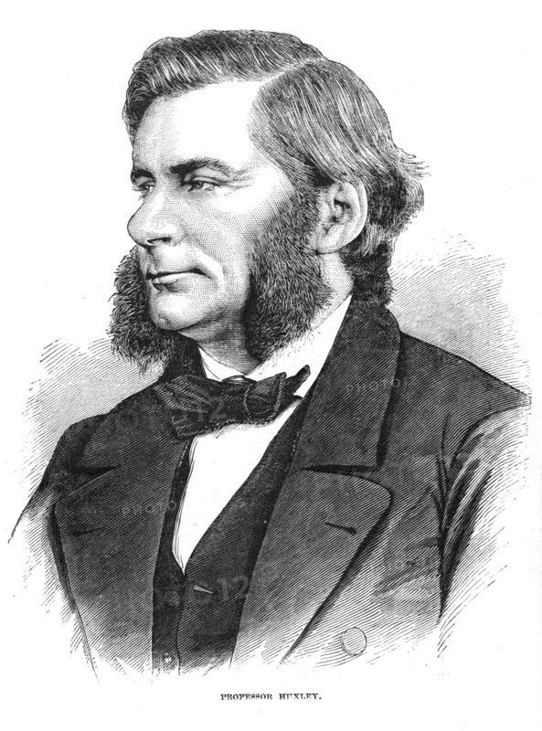 Thomas Henry Huxley