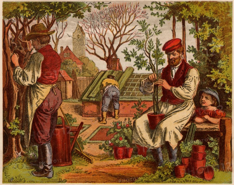 Oscar Pletsch, Gardening