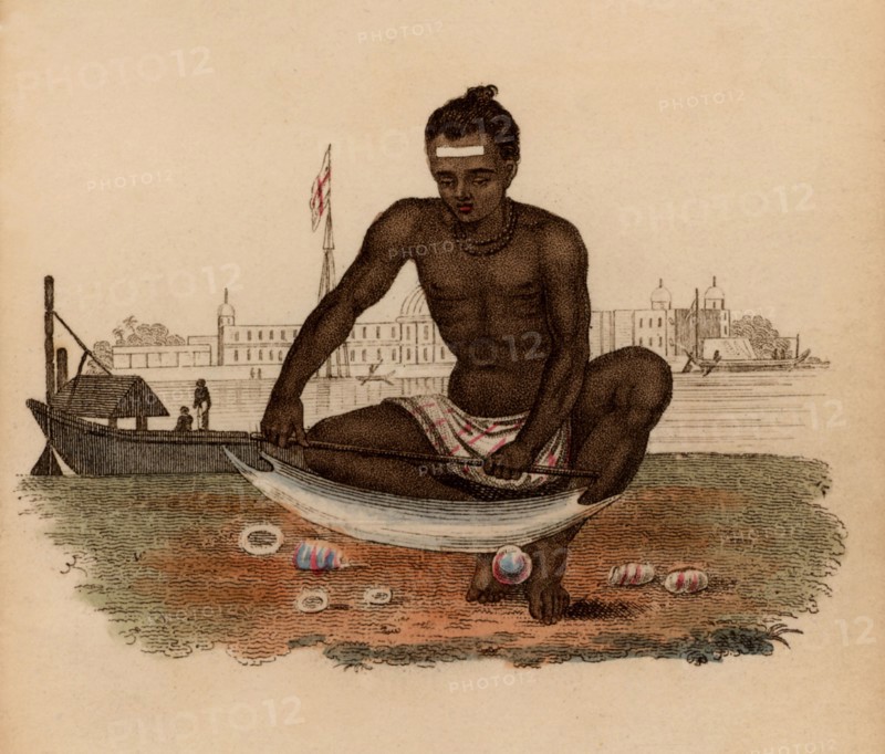 Indian shell-cutter