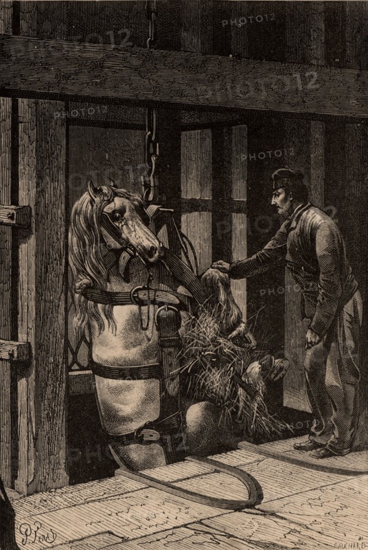 A pit pony being lowered down a mine shaft, 1869