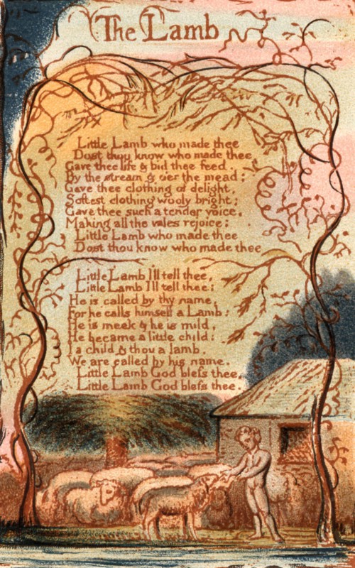 The Lamb
