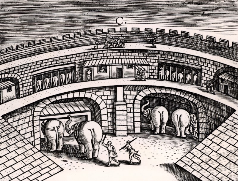Roman army stables