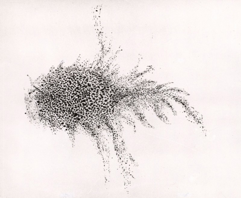 Lord Rosse's drawing of the Crab nebula