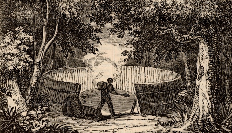 Charcoal burner at work in Kent