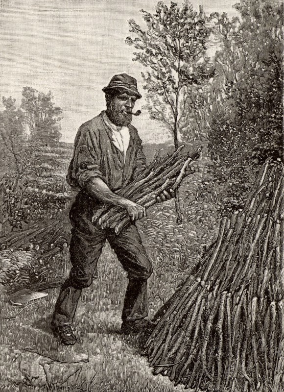 Charcoal burners in the Lake District