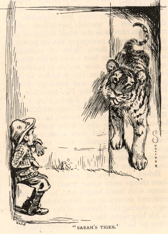 Sarah's Tiger