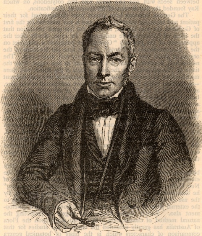 Robert Brown
