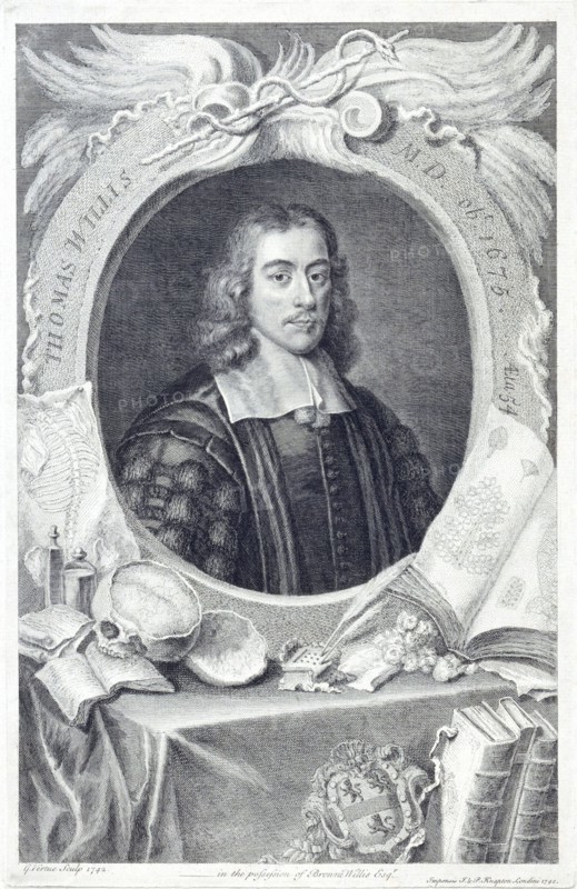 Thomas Willis