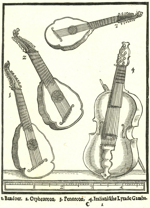 Stringed Instruments