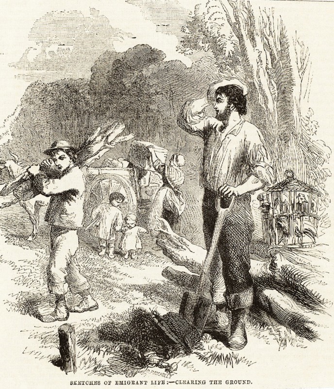 British imigrant family in Australia