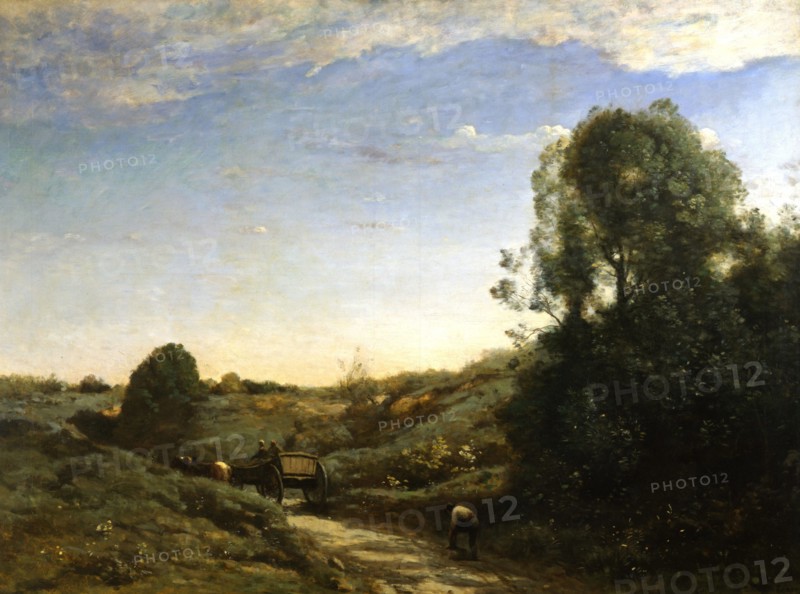 La Chouette