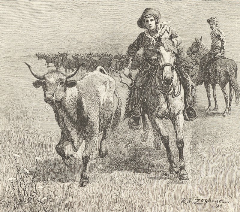 Cowboy going after a steer that has left the herd during a cattle drive: Montana