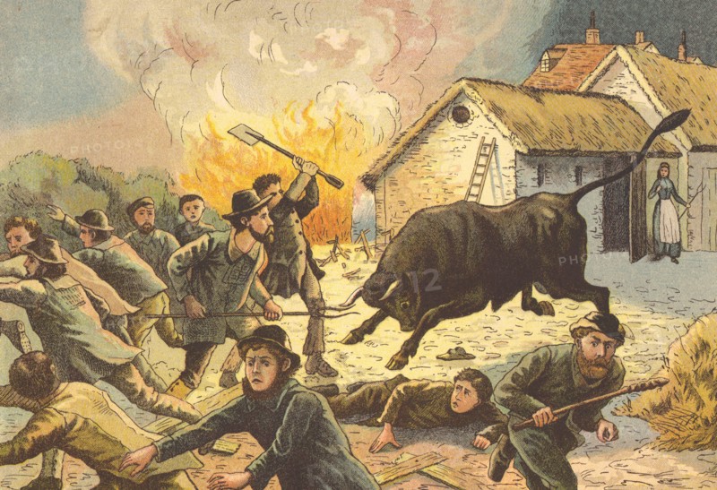 Farmer's wife letting out a bull to frighten off agricultural workers attacking a farm, c1830