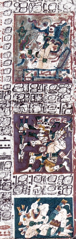 The Dresden Codex
