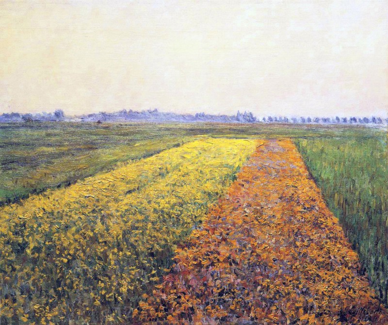 Caillebotte, La plaine de Gennevilliers, champs jaunes