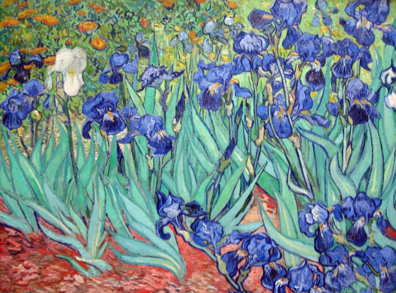 Van Gogh, Les Iris