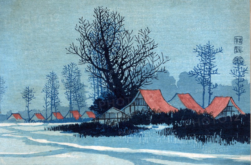 Buildings with red roofs in a winter landscape